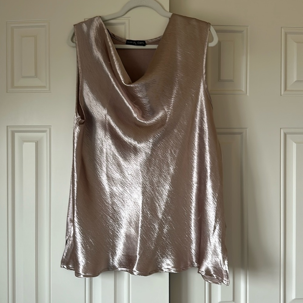 Champagne colored dressy sleeveless top, never worn,